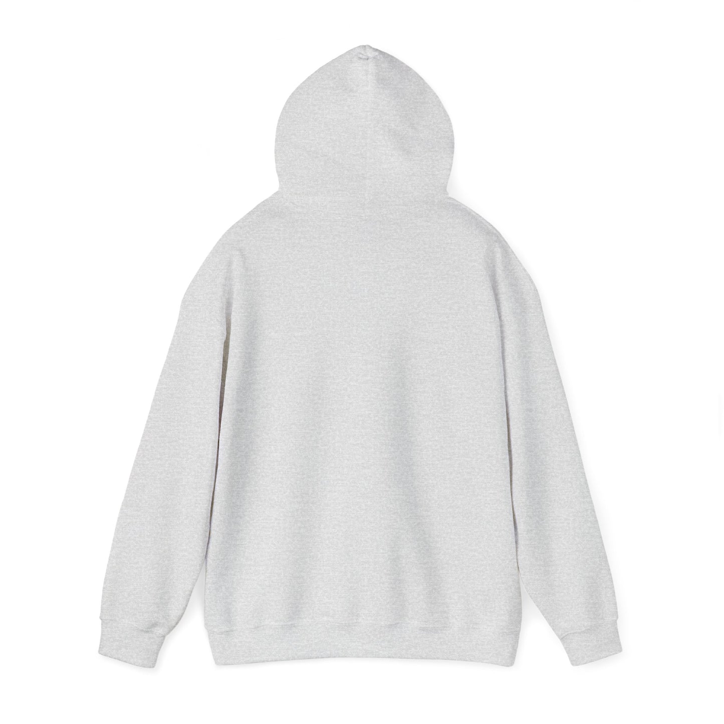 Unisex Racing Hoodie - "Stop Me If You Can"