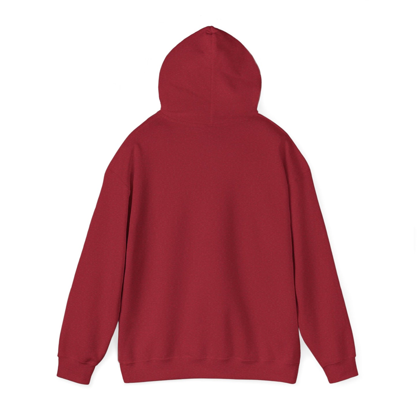 Unisex Racing Hoodie - "Stop Me If You Can"