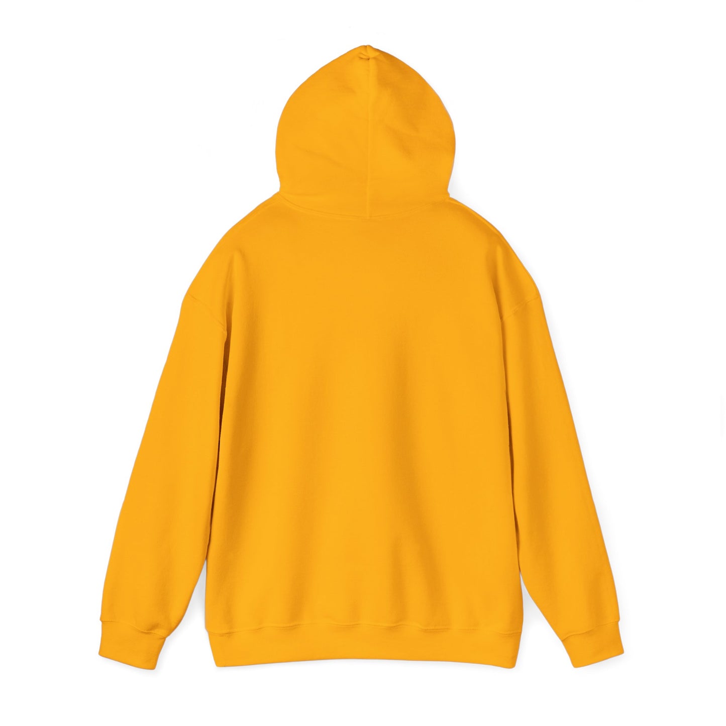 Unisex Racing Hoodie - "Stop Me If You Can"